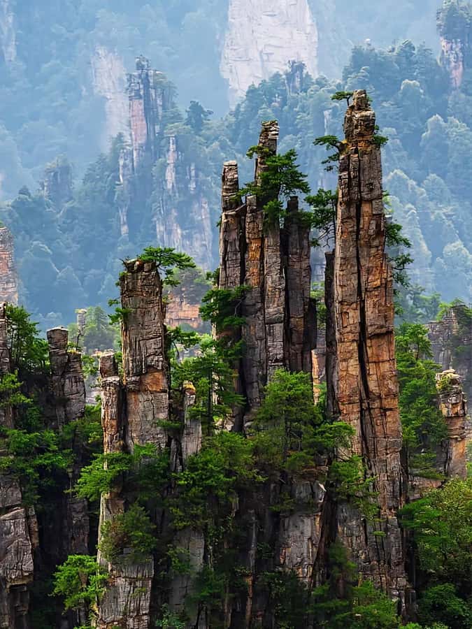 Zhangjiajie: VIP Zhangjiajie National Forest Park Day Tour - Lunch without a fixed restaurant