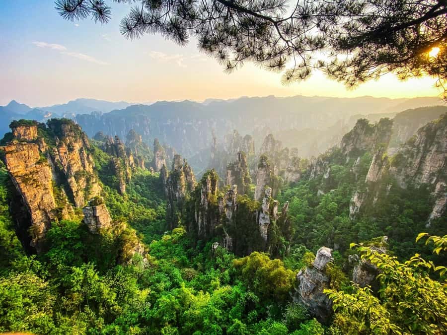 Zhangjiajie: VIP Zhangjiajie National Forest Park Day Tour - A guide makes the complicated parts easier